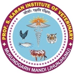 sk logo sk logo